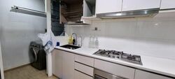 Forestville (D25), Condominium #521899981